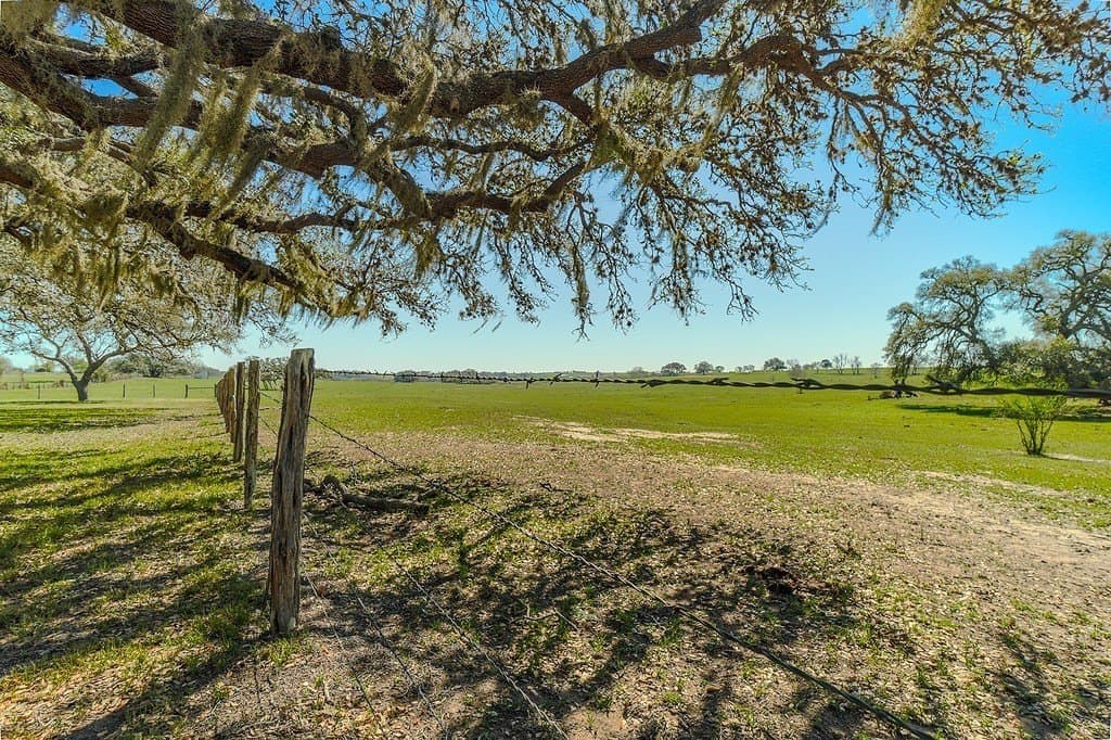 81.44 acres in Lavaca County - photo 11