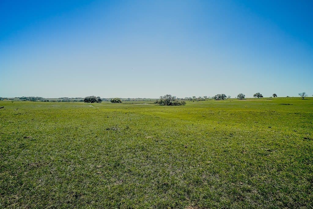 81.44 acres in Lavaca County - photo 8