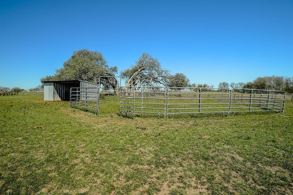 81.44 acres in Lavaca County - photo 10