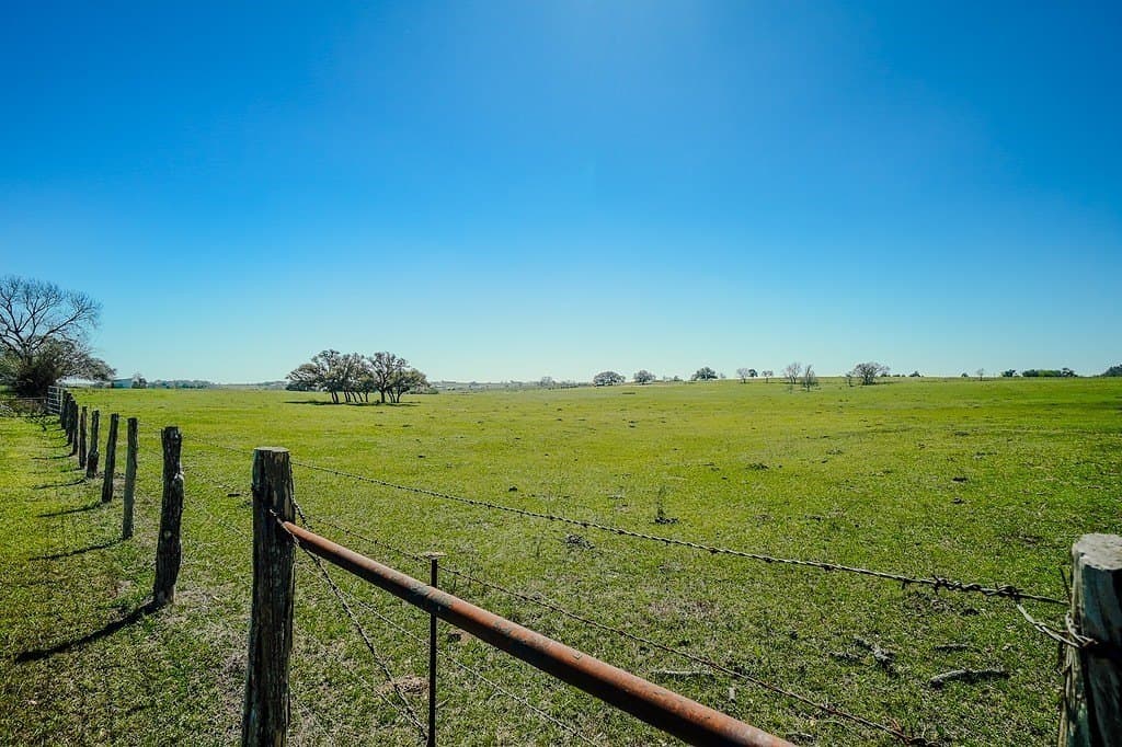 81.44 acres in Lavaca County - photo 4