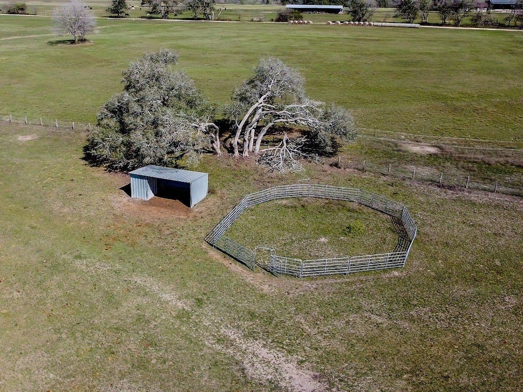 81.44 acres in Lavaca County - photo 9