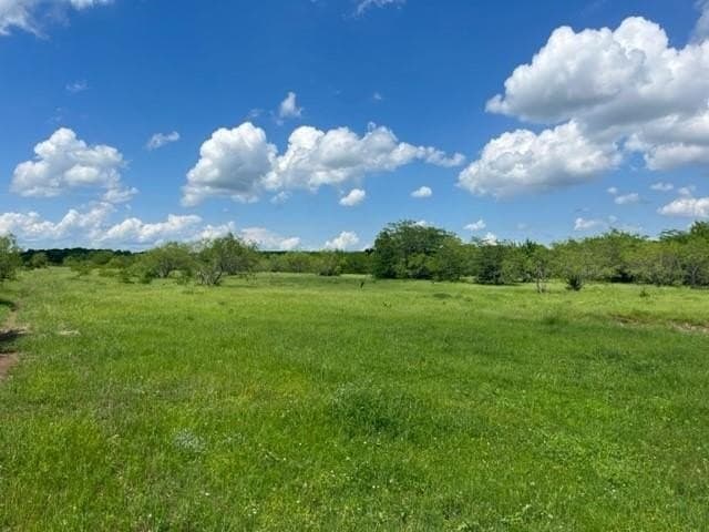 33.76 acres in Grayson County - photo 5