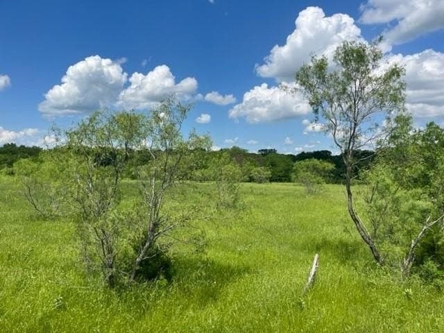 33.76 acres in Grayson County - photo 4