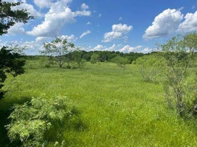33.76 acres in Grayson County - photo 3