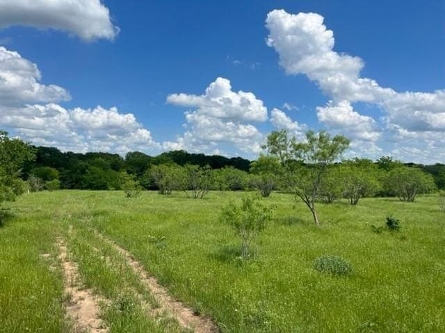 33.76 acres in Grayson County - photo 2