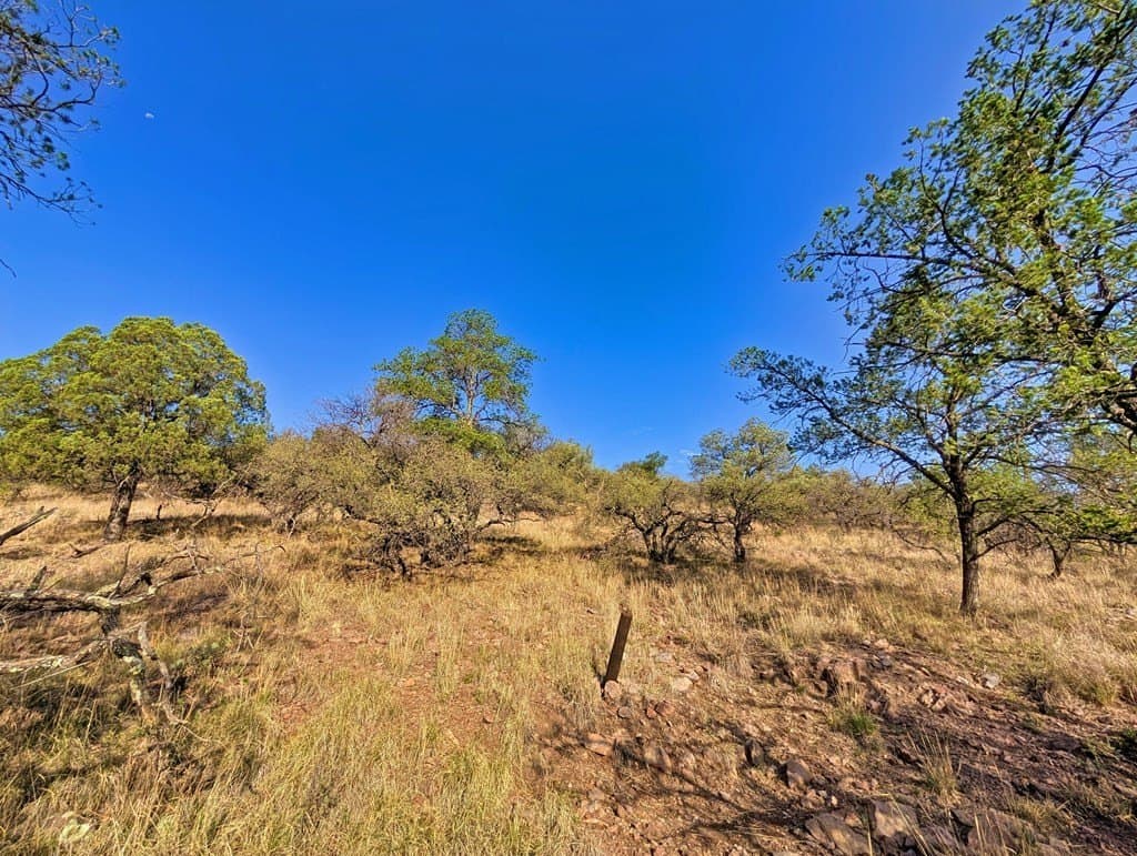 6.57 acres in Jeff Davis County - photo 3