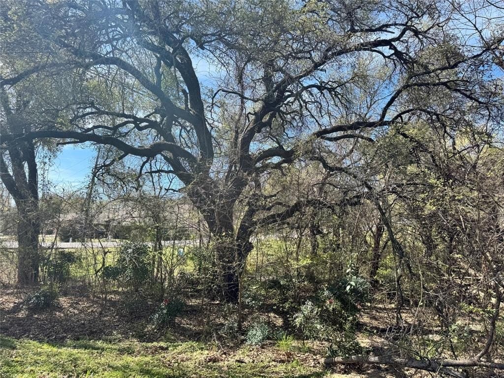0.13 acres in Hood County - photo 15