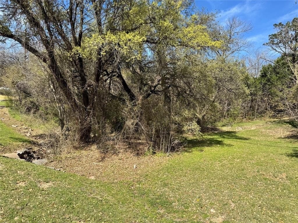 0.13 acres in Hood County - photo 4