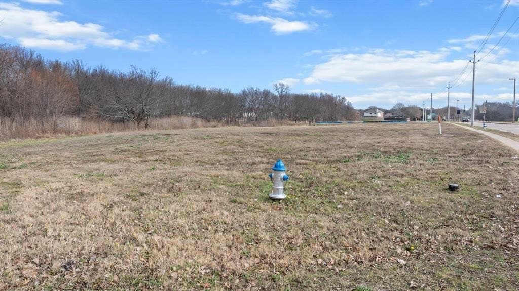 6.06 acres in Collin County - photo 16