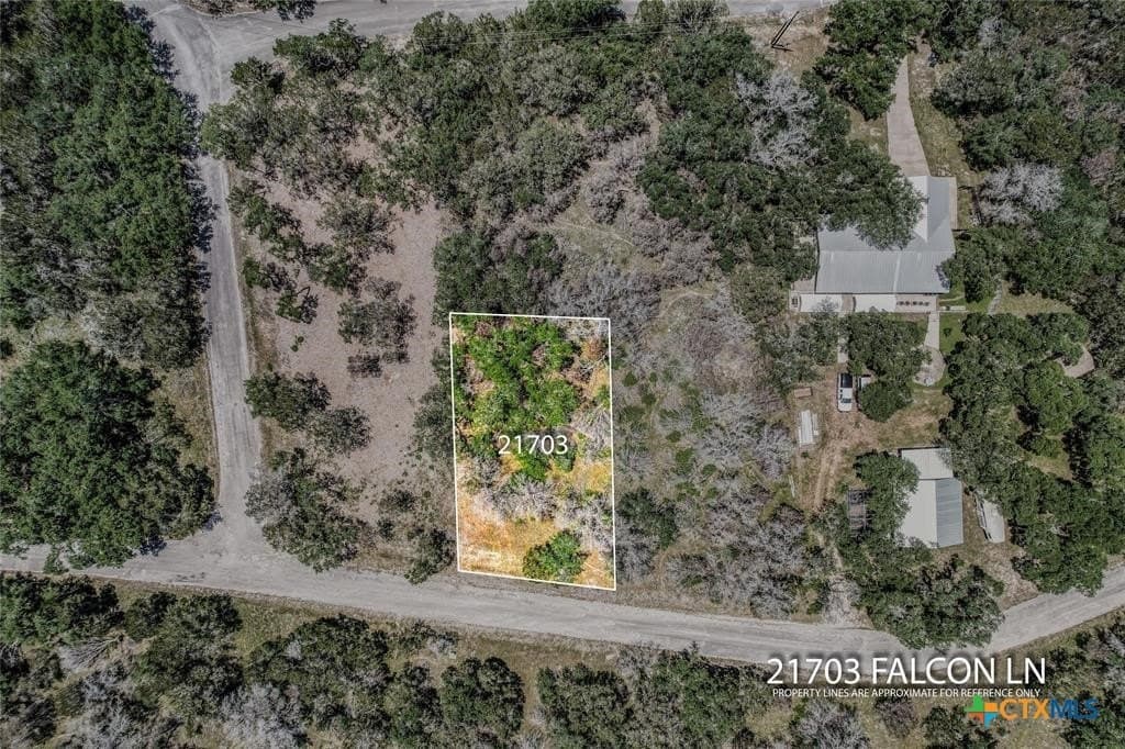 0.25 acres in Travis County - photo 12