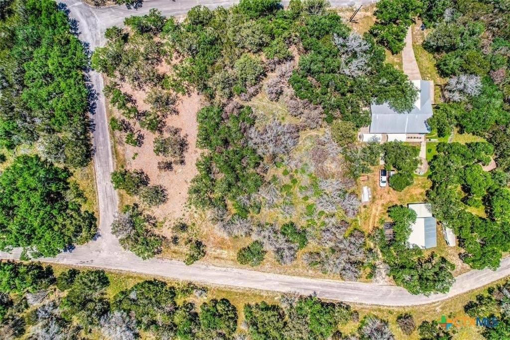 0.25 acres in Travis County - photo 11