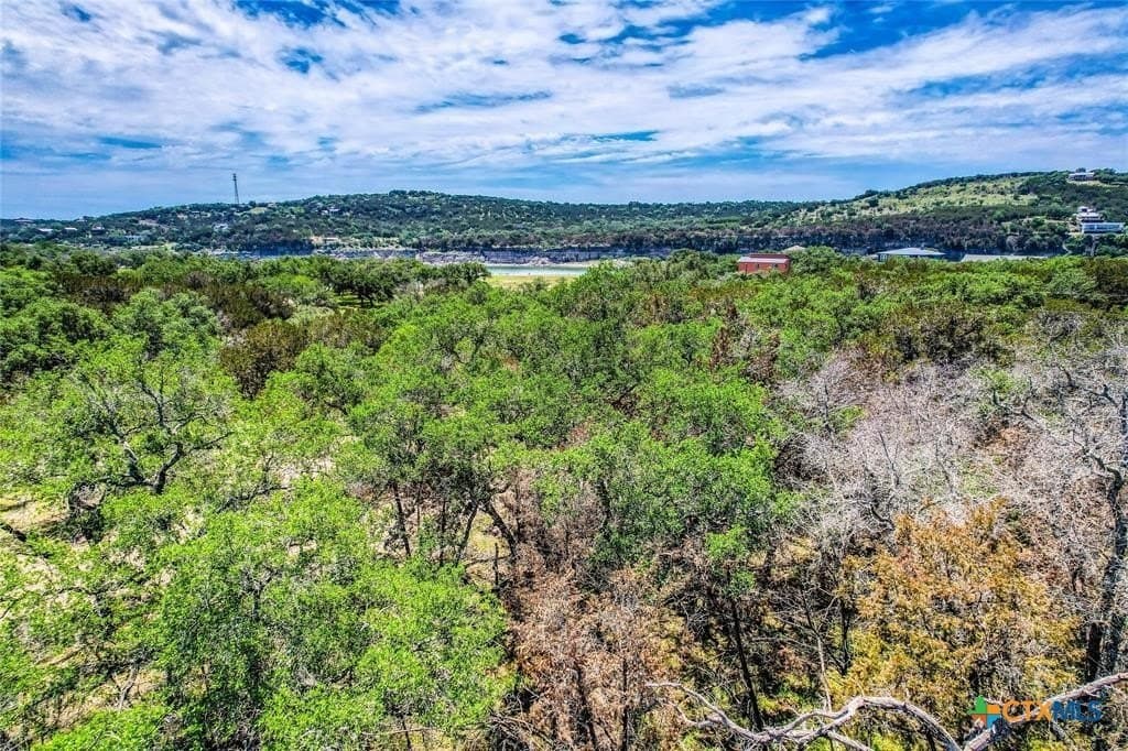 0.25 acres in Travis County - photo 17