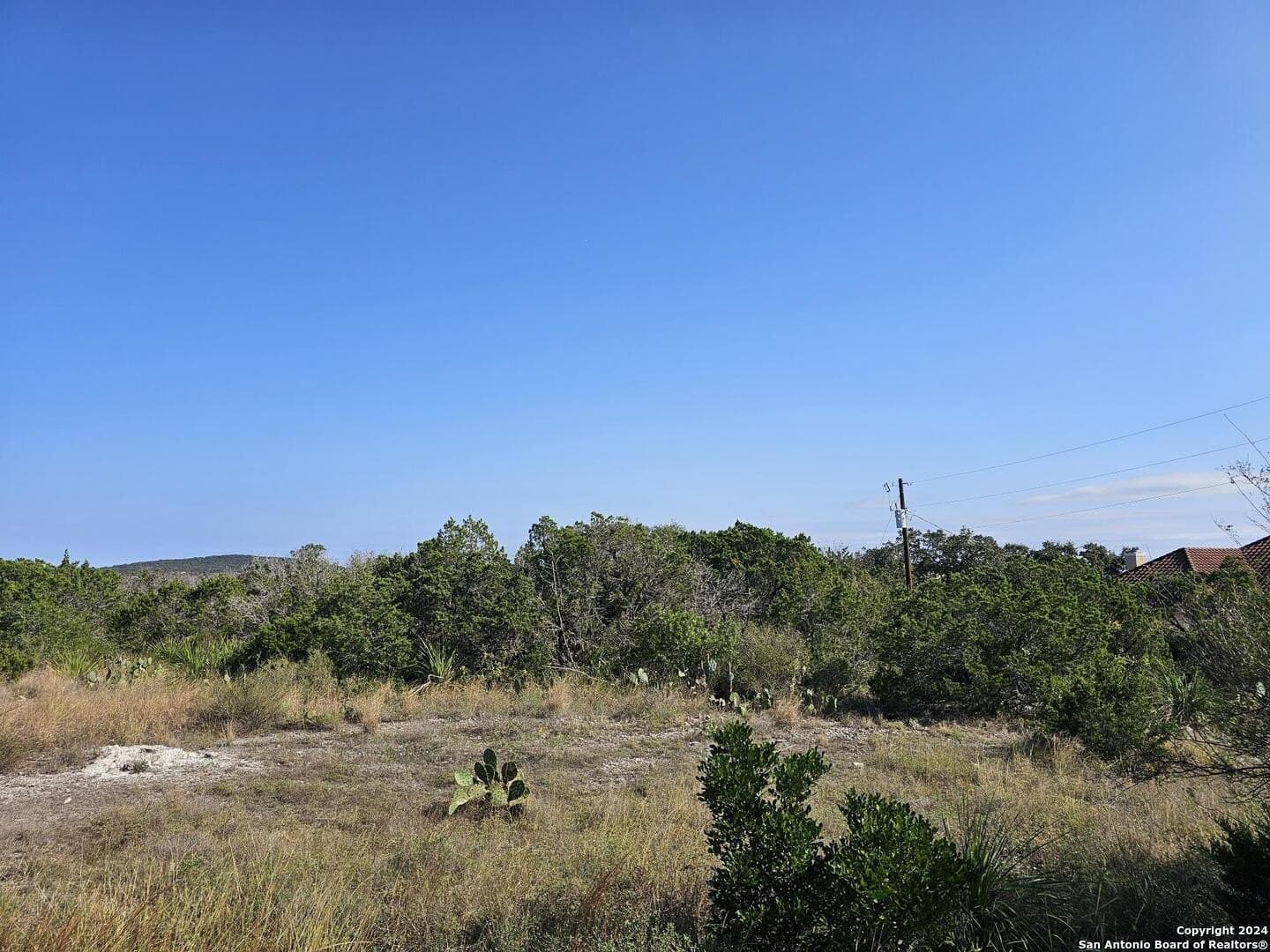 10 acres in Medina County - photo 7