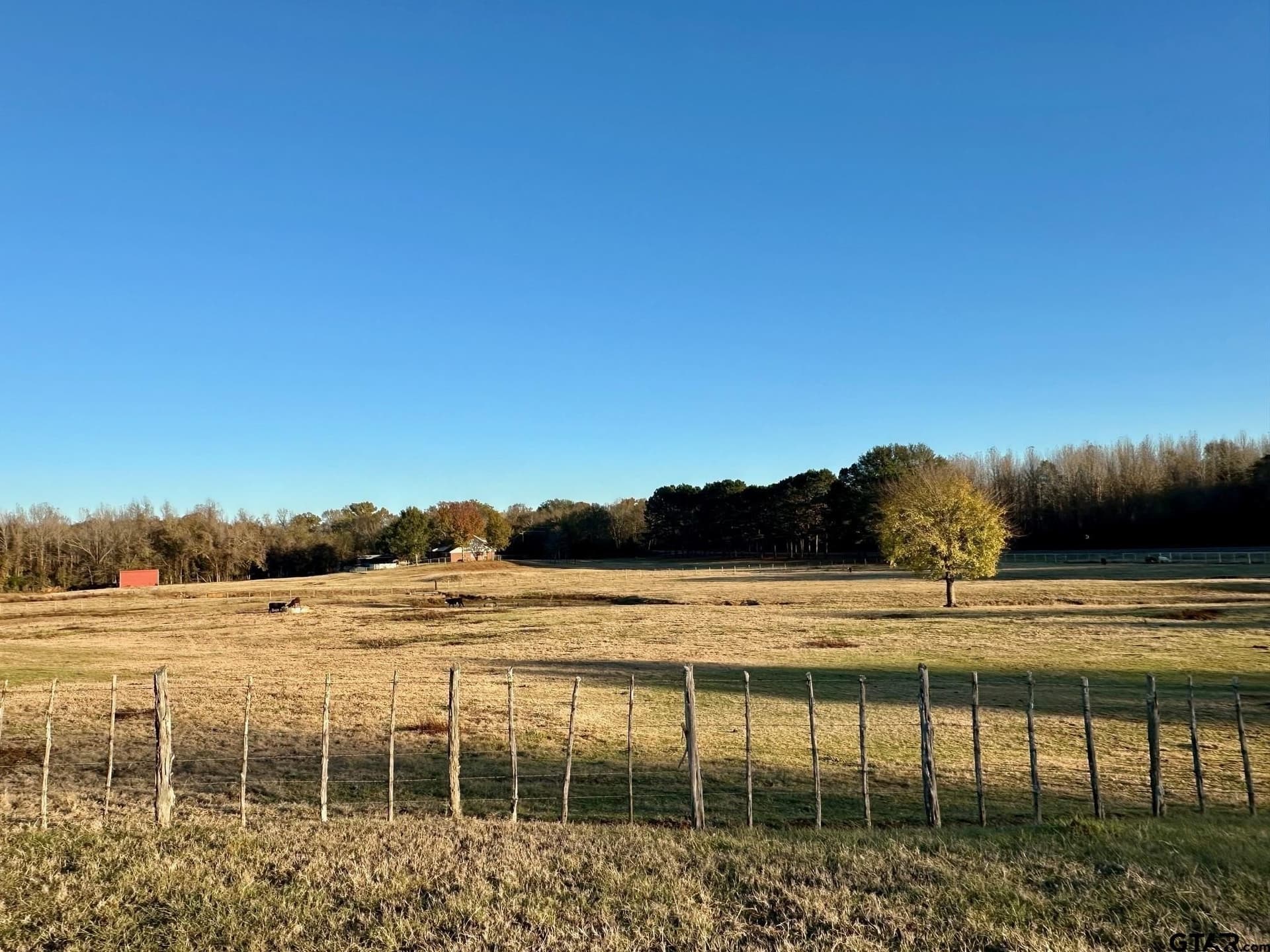 11.5 acres in Smith County - photo 20