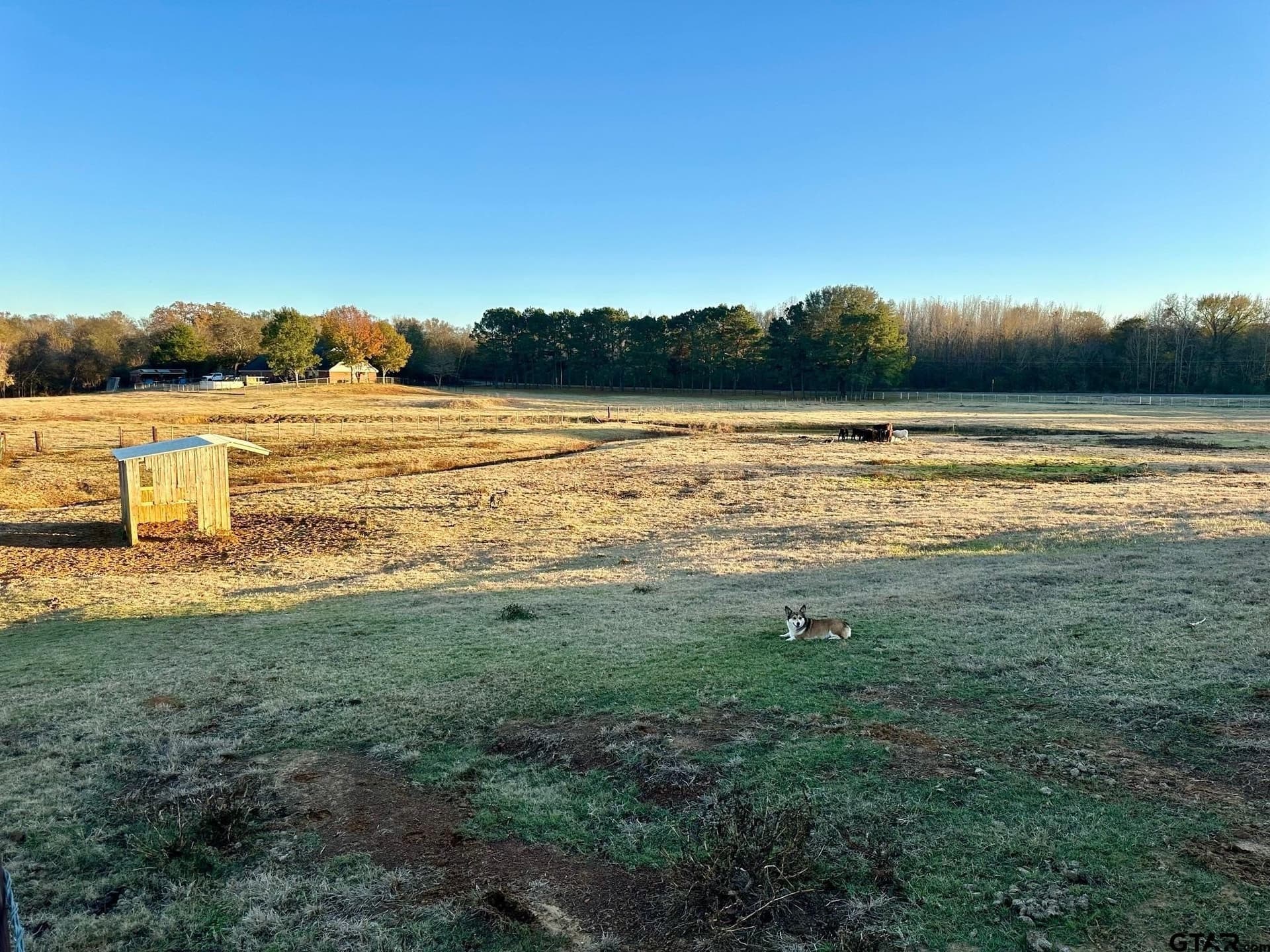 11.5 acres in Smith County - photo 18