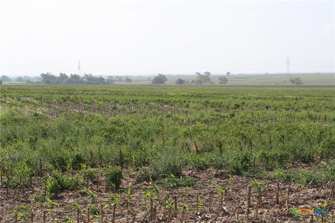 11 acres in Bell County - photo 4