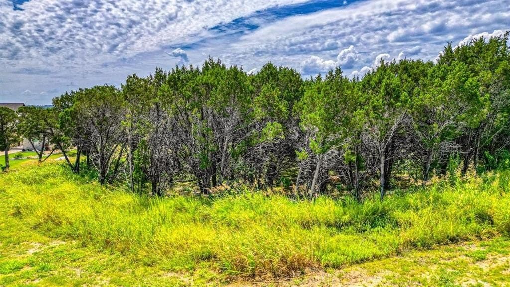 0.4 acres in Johnson County - photo 4