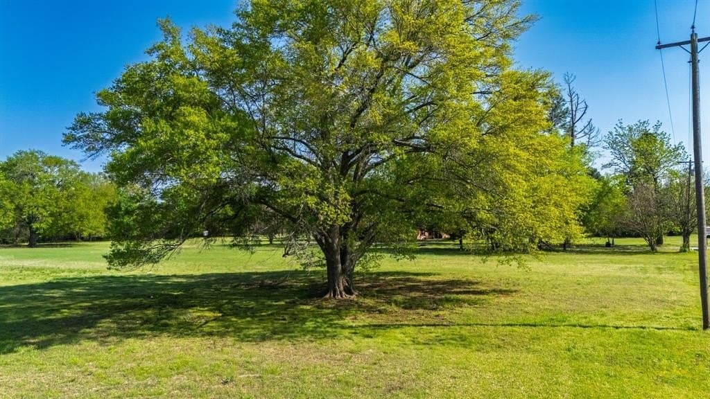 1.38 acres in Hunt County - photo 29
