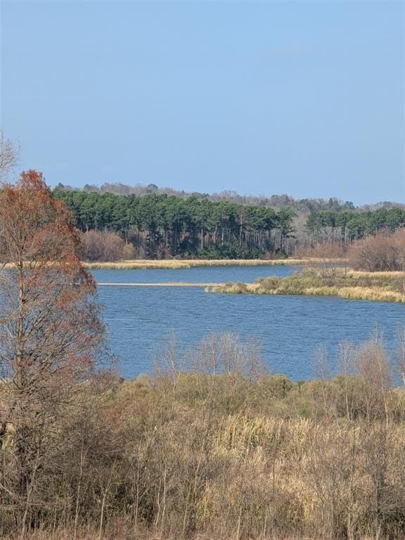 1.14 acres in Henderson County - photo 3