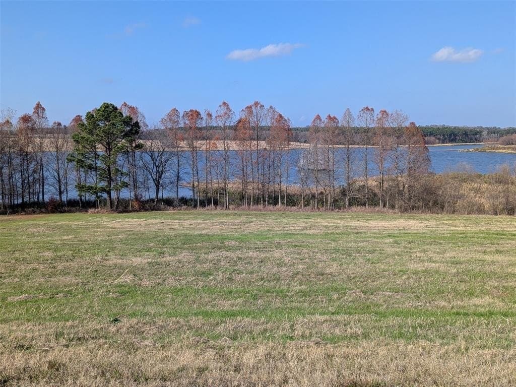 1.14 acres in Henderson County - photo 4