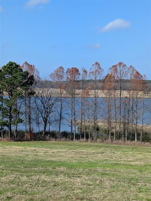 1.14 acres in Henderson County - photo 2