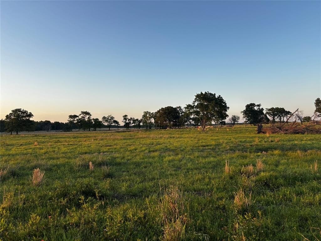 86.6 acres in Van Zandt County - photo 13