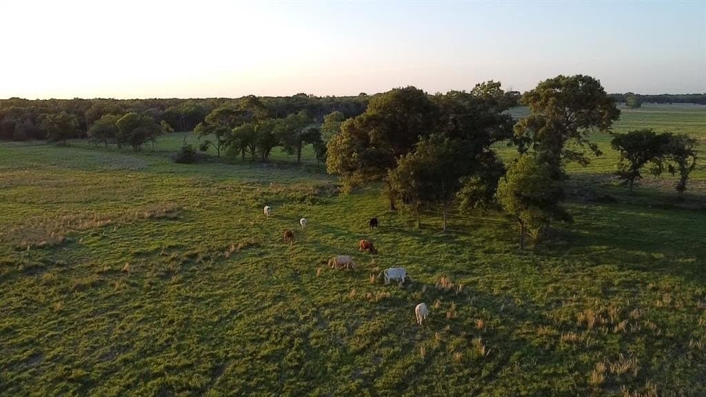 86.6 acres in Van Zandt County - photo 7