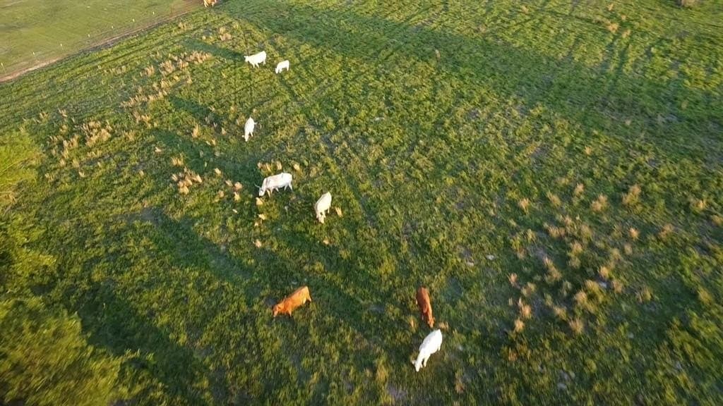 86.6 acres in Van Zandt County - photo 20