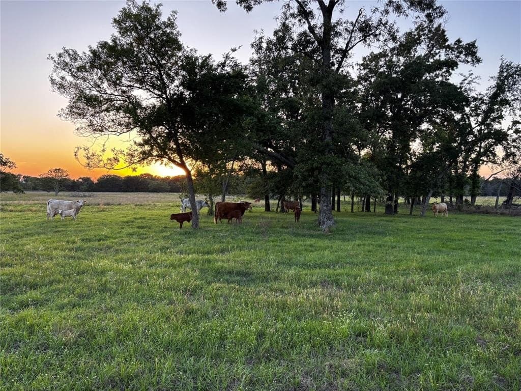 86.6 acres in Van Zandt County - photo 18