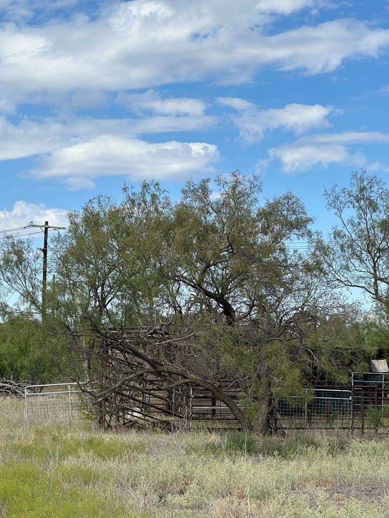 90.07 acres in Scurry County - photo 4