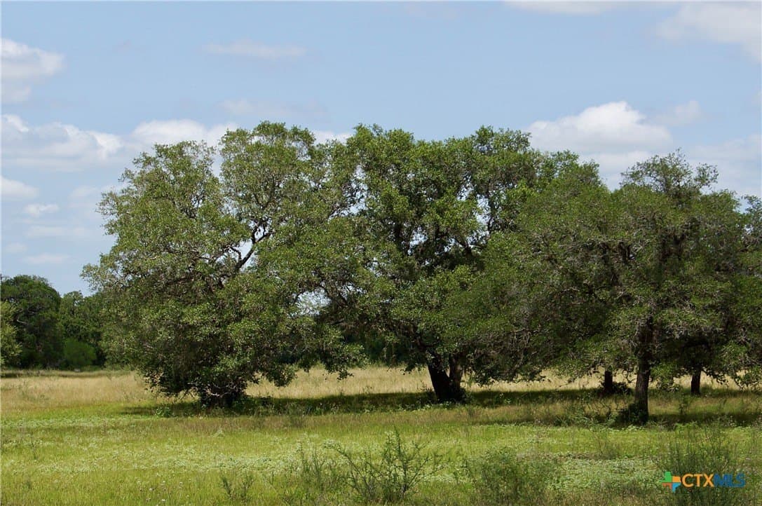 66.6 acres in DeWitt County - photo 8