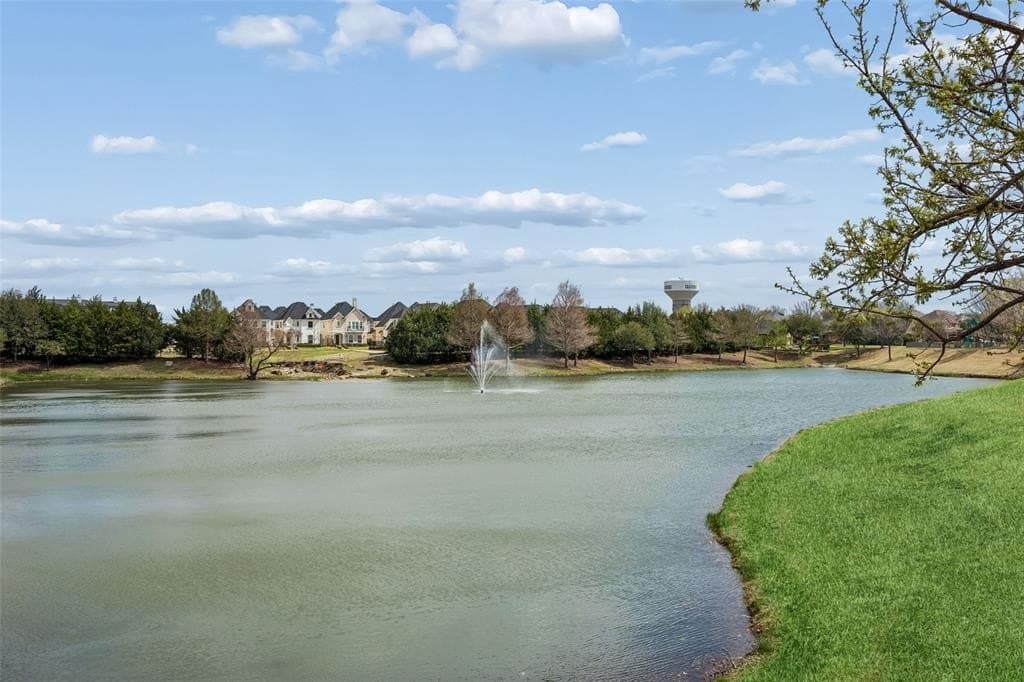 20.3 acres in Collin County - photo 30