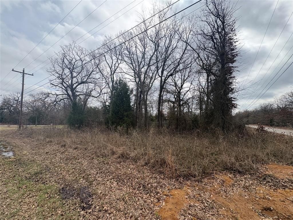 0.1 acres in Henderson County - photo 2