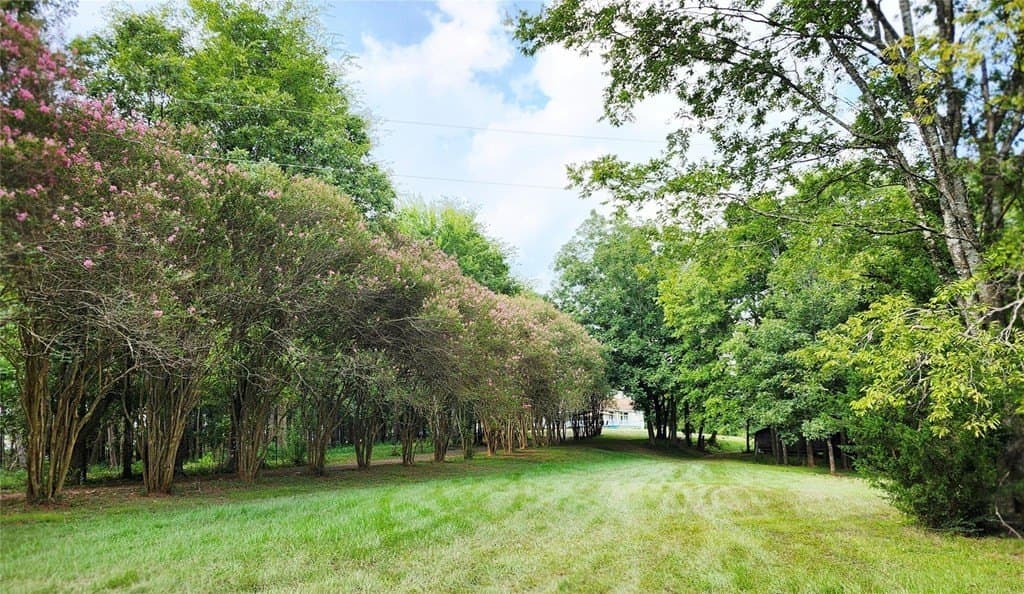 20 acres in San Augustin County - photo 28