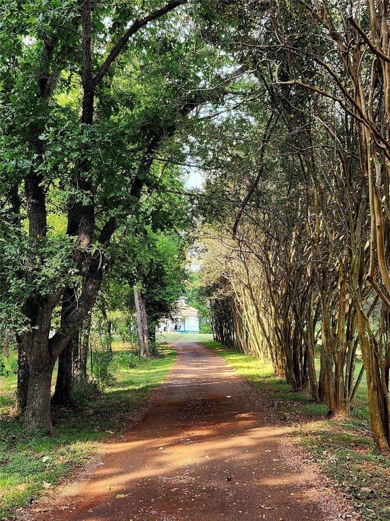 20 acres in San Augustin County - photo 25