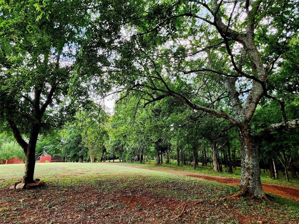 20 acres in San Augustin County - photo 27
