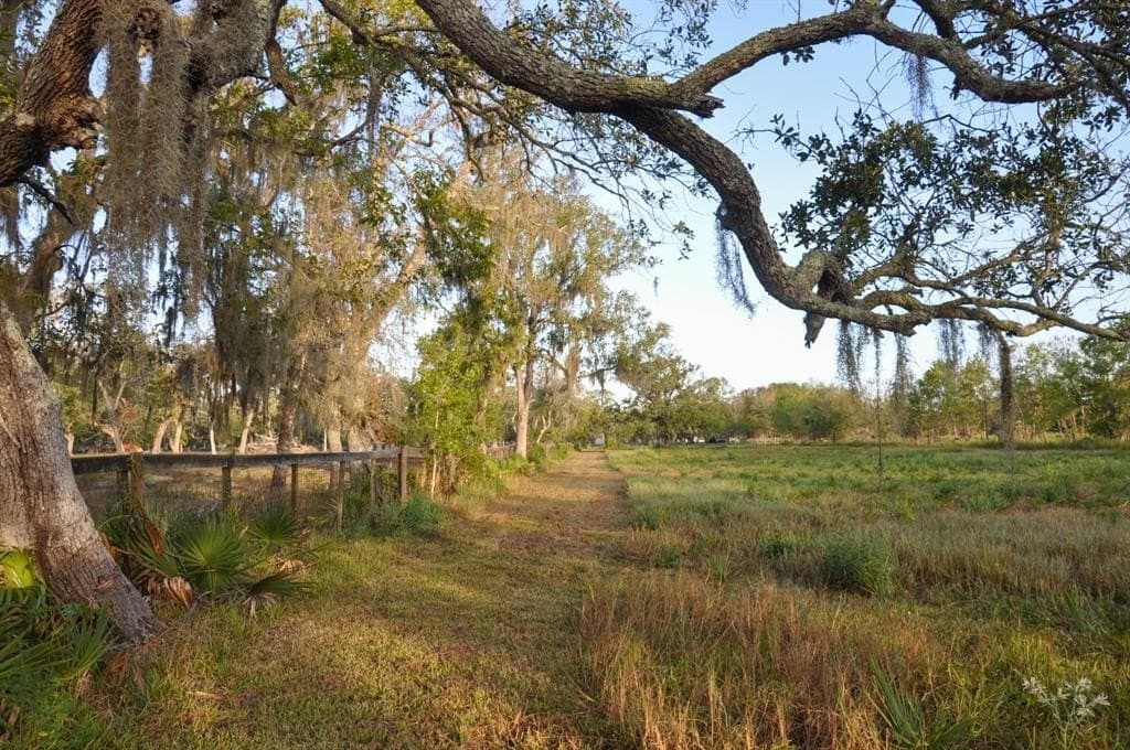 43.18 acres in Brazoria County - photo 14