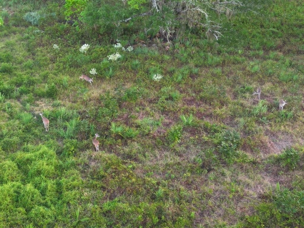 43.18 acres in Brazoria County - photo 6