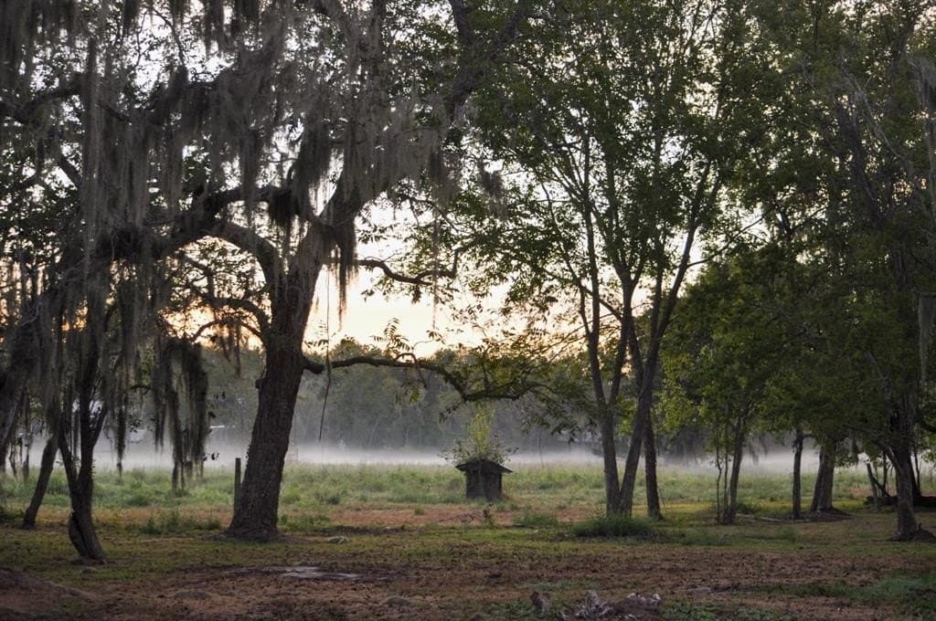 43.18 acres in Brazoria County - photo 23