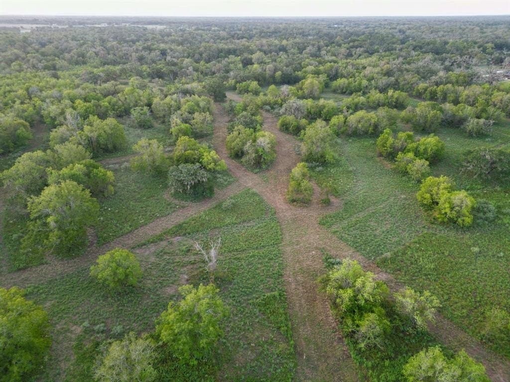 43.18 acres in Brazoria County - photo 5