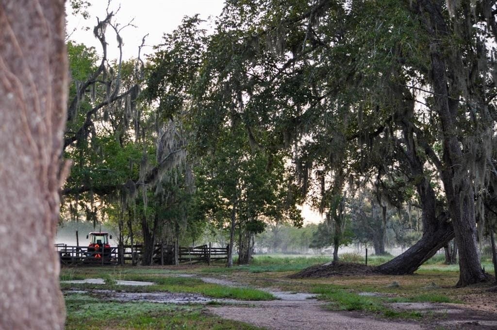 43.18 acres in Brazoria County - photo 10