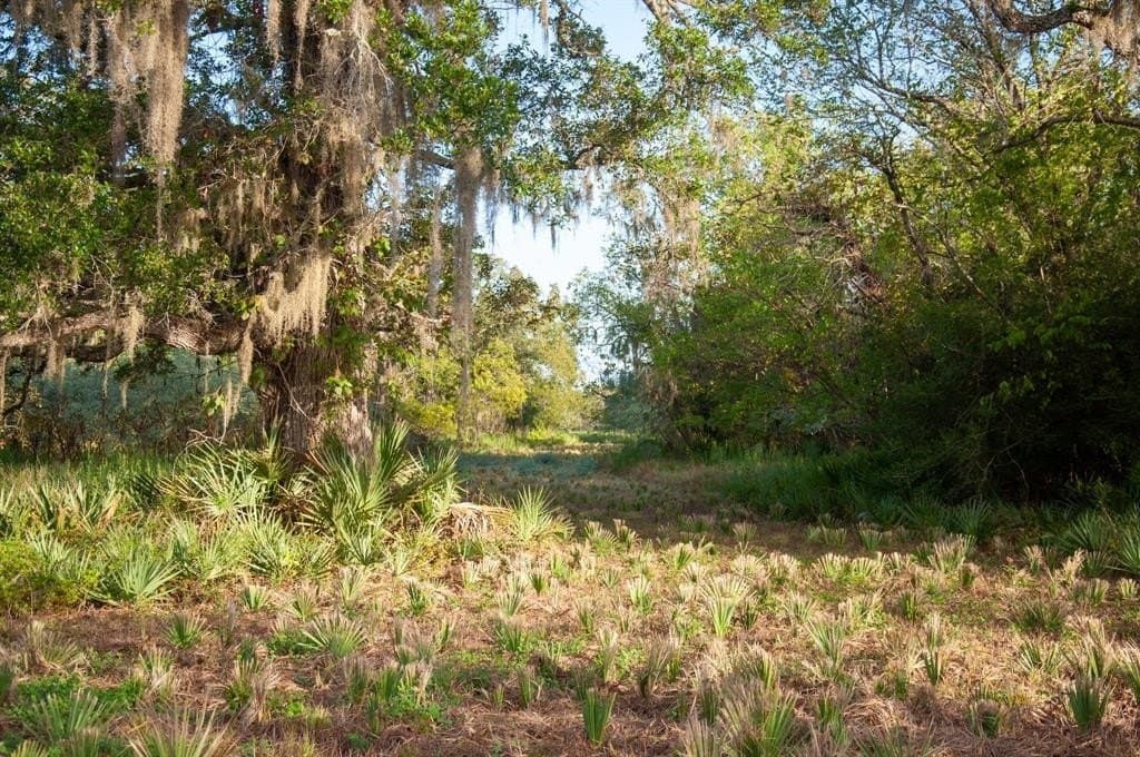 43.18 acres in Brazoria County - photo 15