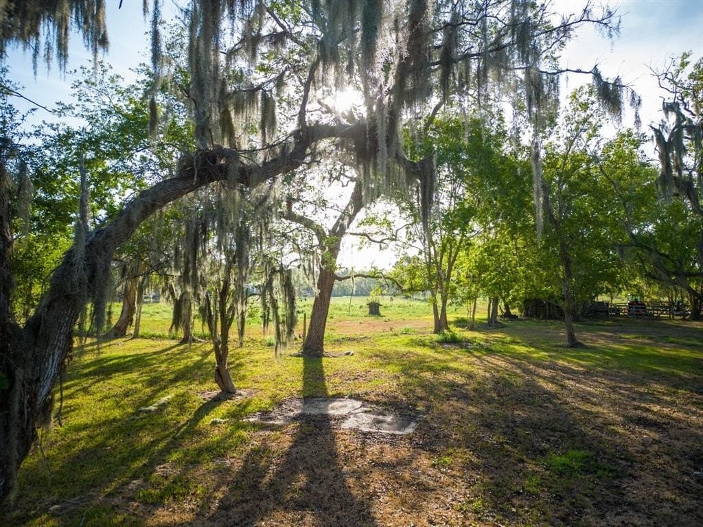 43.18 acres in Brazoria County - photo 4