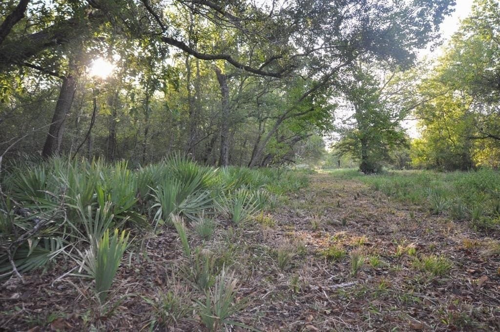 43.18 acres in Brazoria County - photo 8