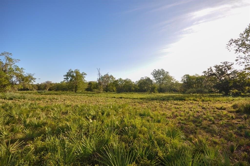 43.18 acres in Brazoria County - photo 19