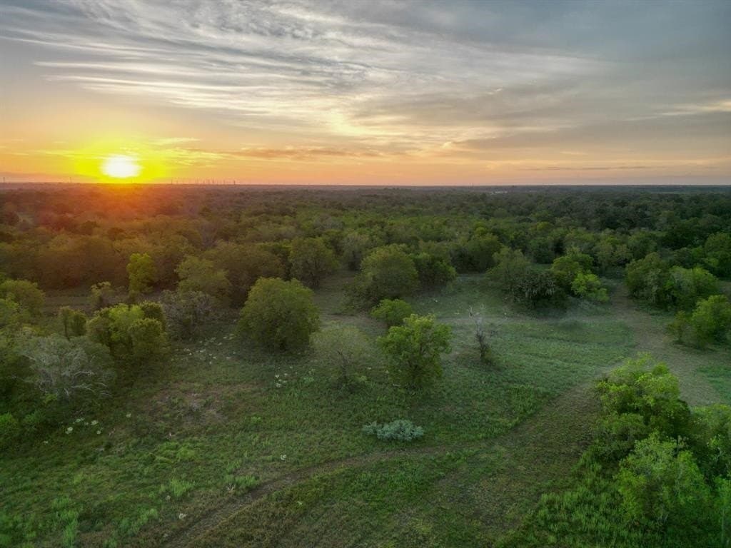 43.18 acres in Brazoria County - photo 25
