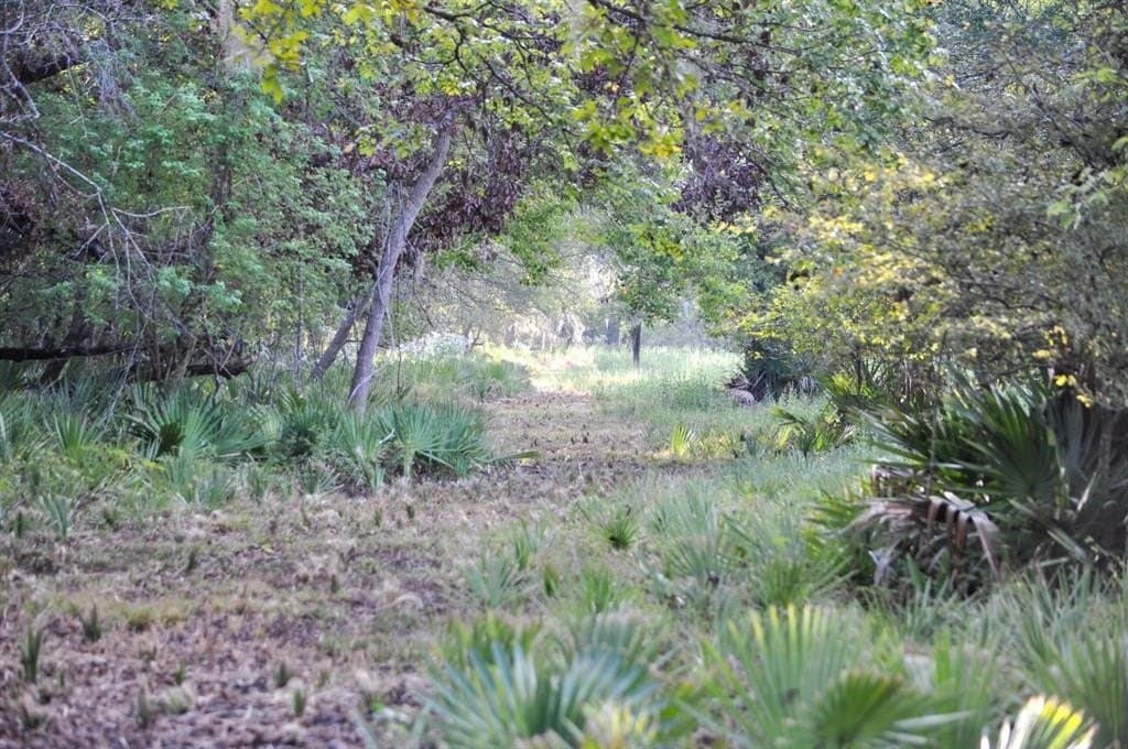 43.18 acres in Brazoria County - photo 18