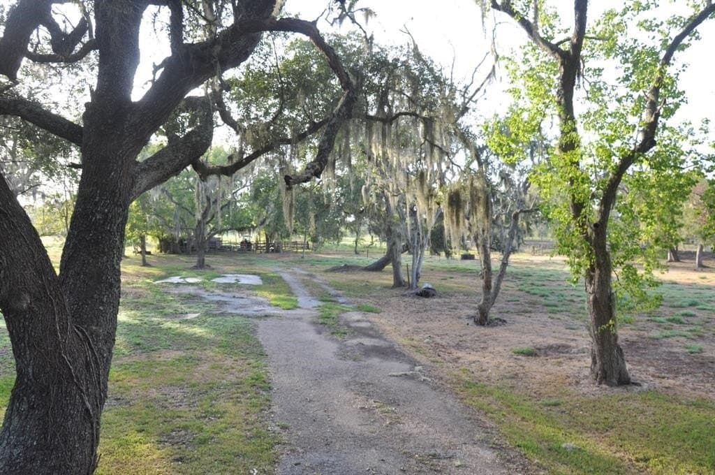 43.18 acres in Brazoria County - photo 17