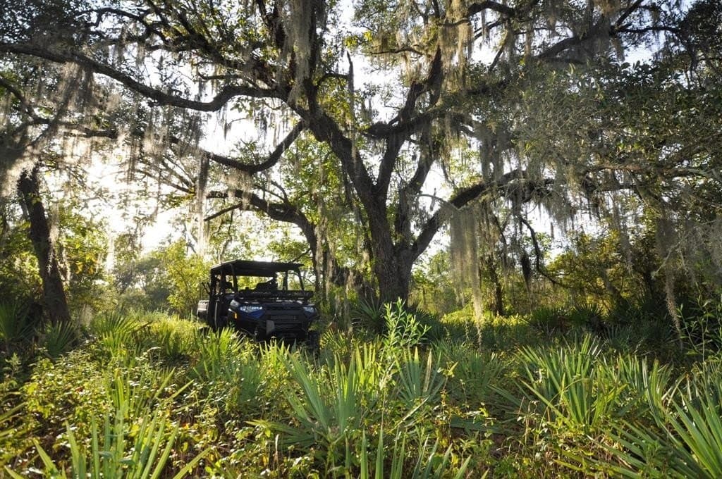 43.18 acres in Brazoria County - photo 2