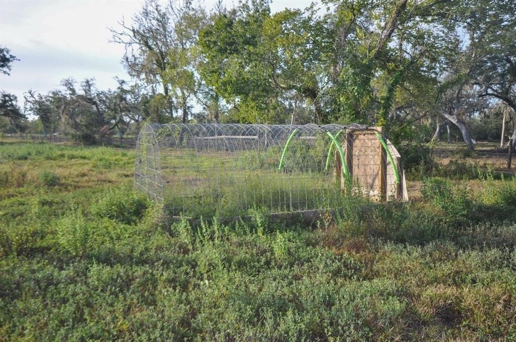 43.18 acres in Brazoria County - photo 20